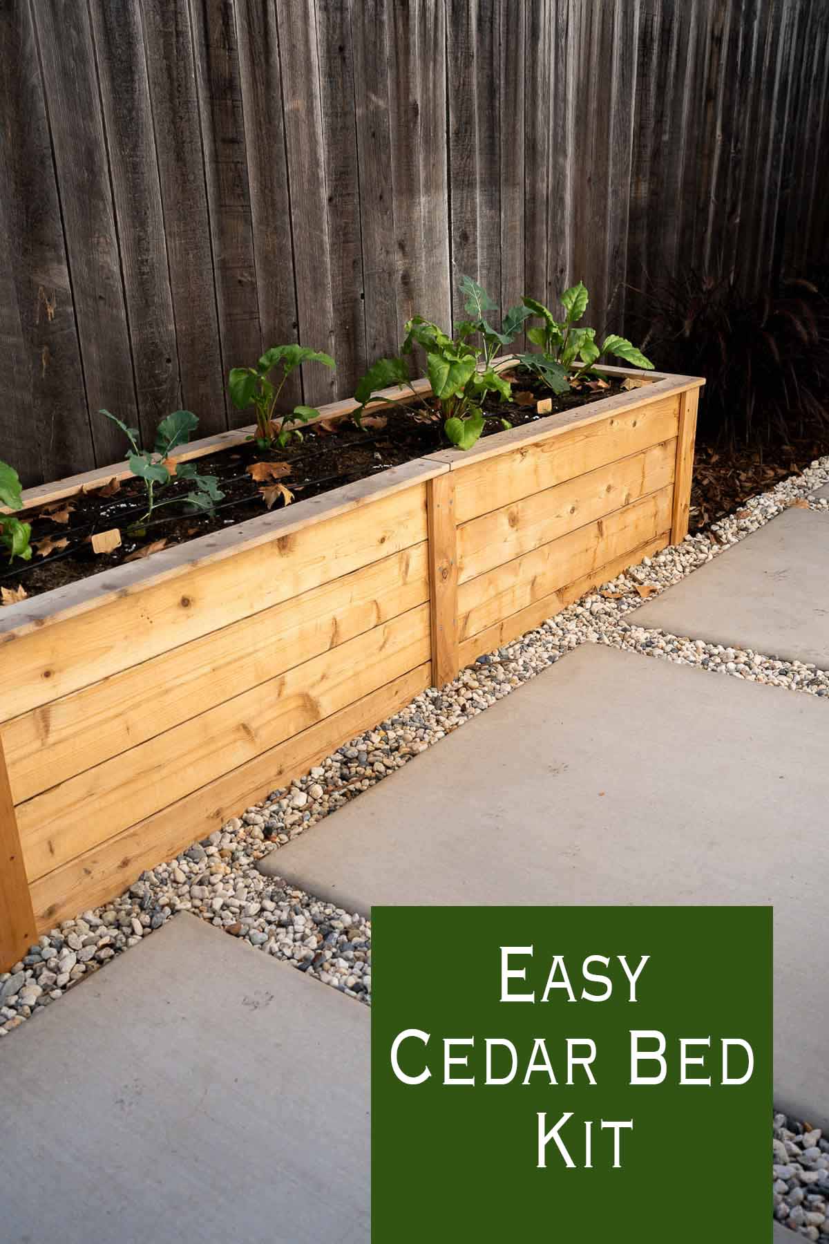 Cedar Garden Beds Review - Eartheasy Raised Beds