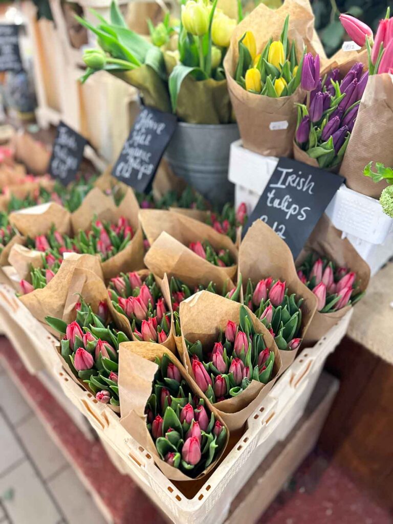 Things to do in Cork, Ireland - English Market - Irish Tulips