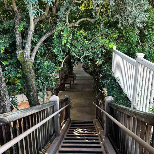 Things to do in Sonoma County
