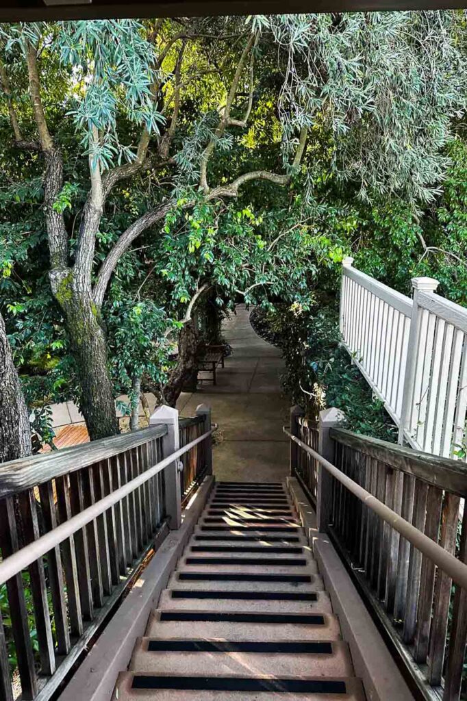 Things to do in Sonoma County