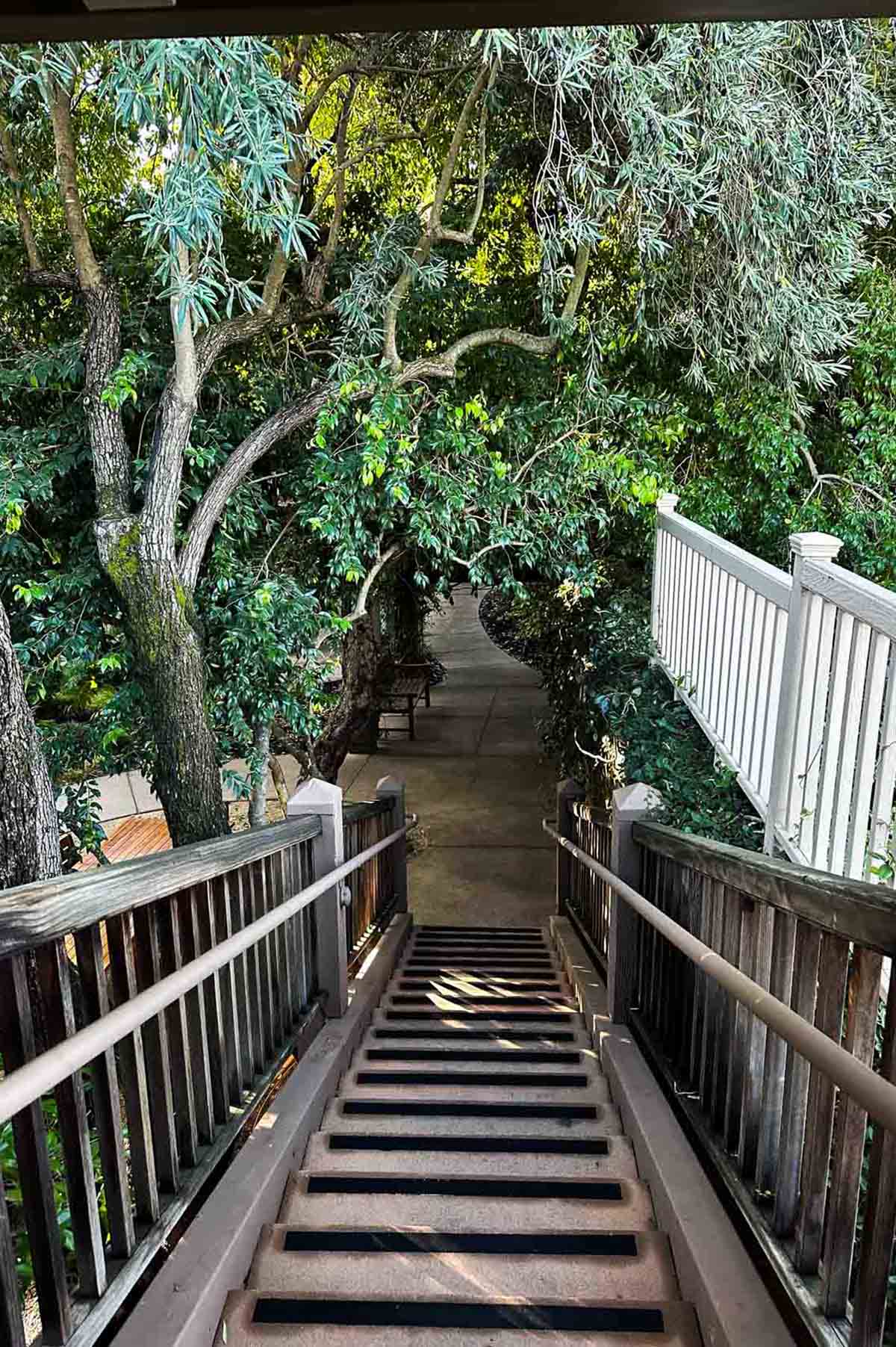 Things to do in Sonoma County