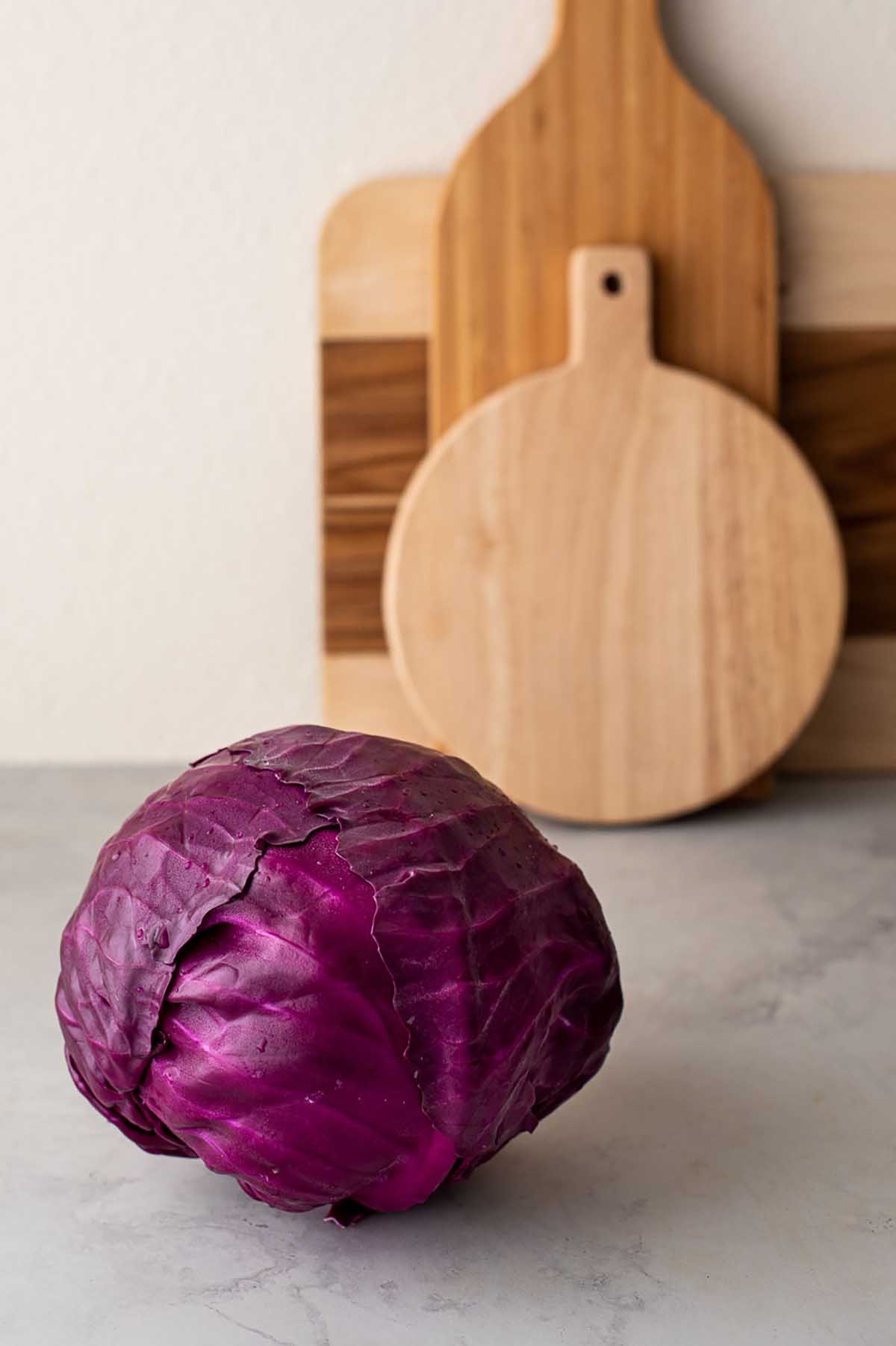 Purple Cabbage Recipes