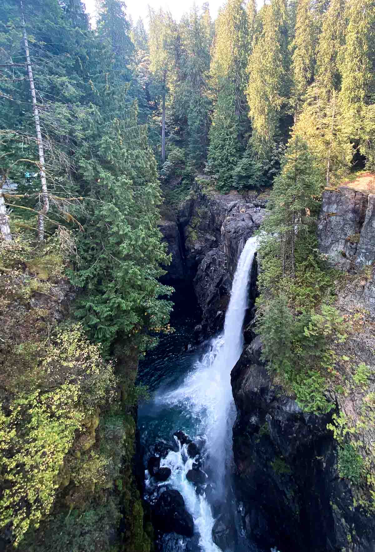 Dalykai, kuriuos reikia veikti Vankuverio saloje - Elk Falls provincijos parke
