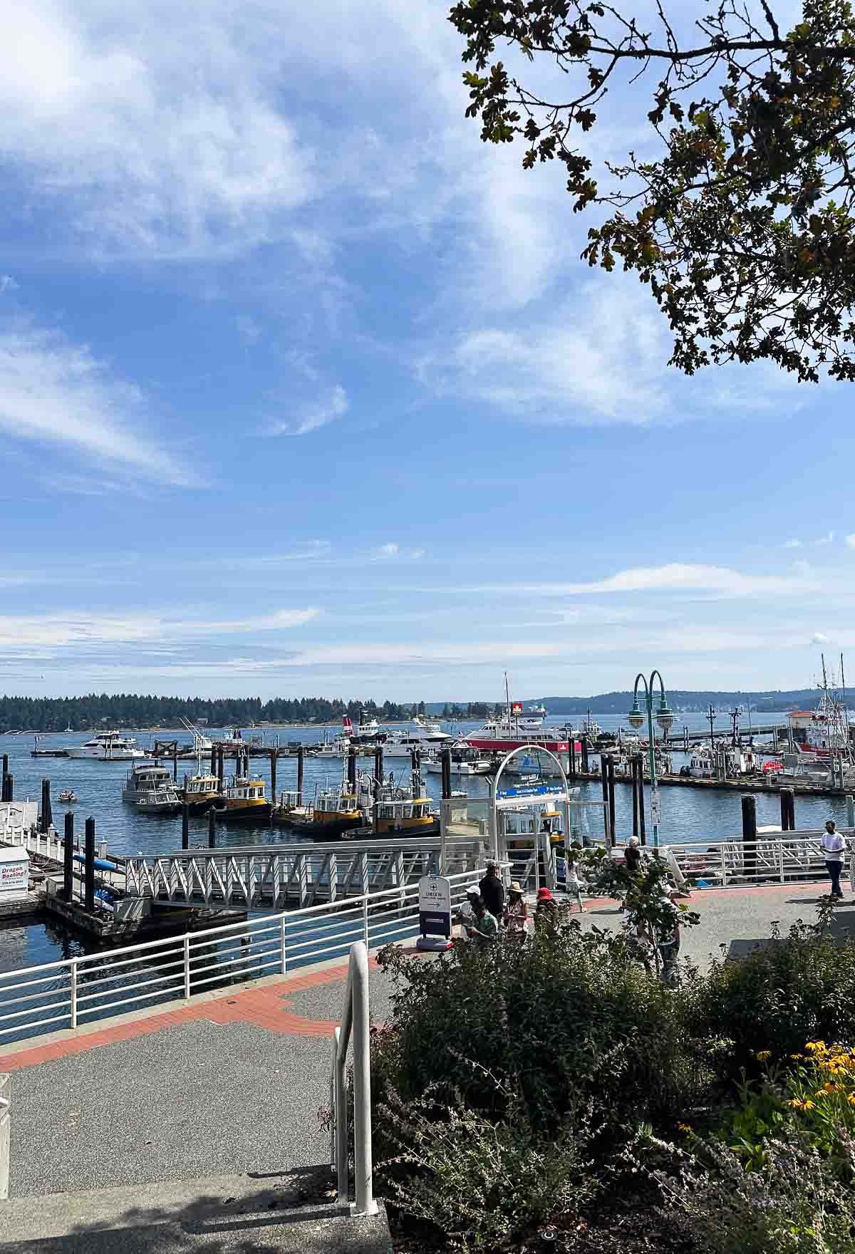 Dalykai, kuriuos reikia veikti Vankuverio saloje