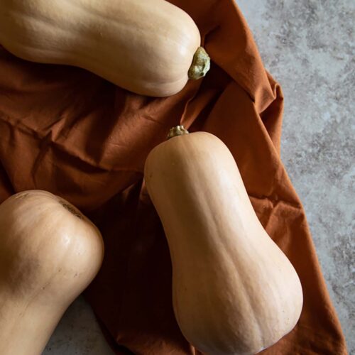 Fall Squash Recipes