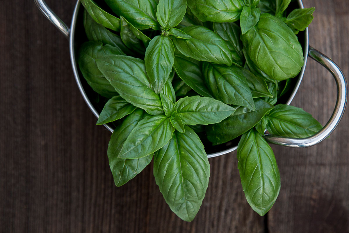 How to Store Fresh Herbs in Fridge