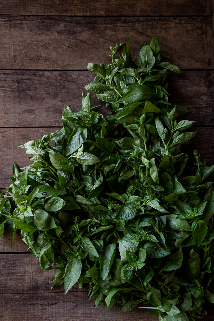 How to Store Fresh Herbs in Fridge