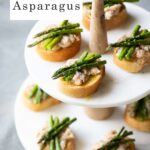 Appetizers Using Asparagus