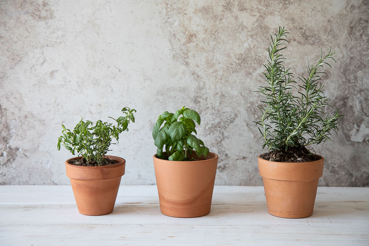 How to Store Fresh Herbs in Fridge