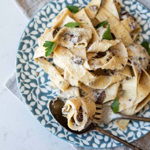 Mushroom Alfredo