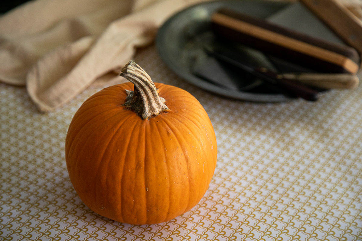 Sugar pumpkin for making homemade pumpkin puree