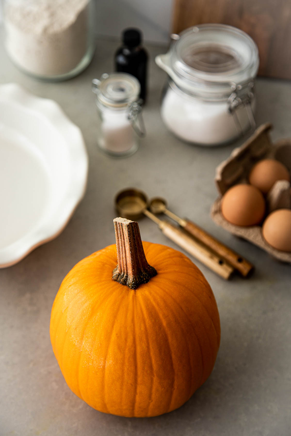 sugar pumpkin on counter - How to Make Pumpkin Puree